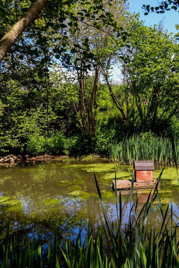 Ty La Source Bed & Breakfast Plestin-les-Grèves Екстериор снимка